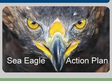 NFUS Sea Eagle Action Plan
