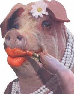 Last night's Landward programme: putting lipstick on a pig | Raptor  Persecution UK